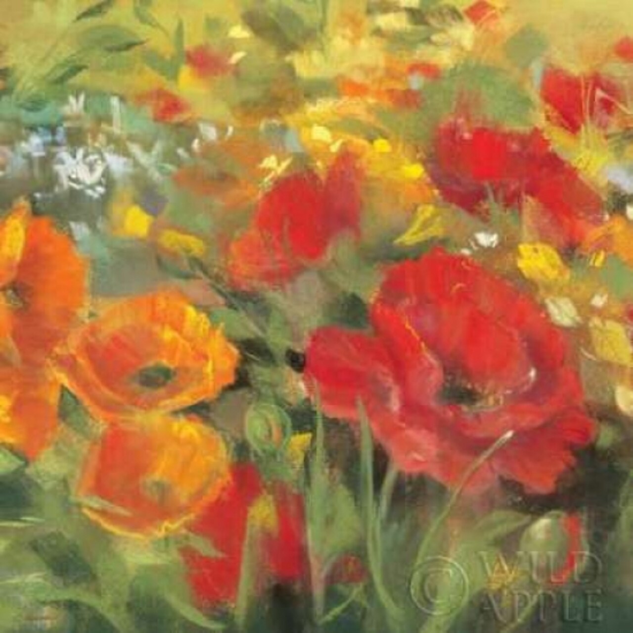 Oriental Poppy Field I Poster Print by Carol Rowan - Item # VARPDX7857